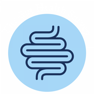 <br />
<b>Warning</b>:  Undefined variable $image_link in <b>/home/noanchov/thenourishedvillage.com.au/wp-content/themes/twenty-twenty-one-child/templates/quiz-start.php</b> on line <b>34</b><br />
<br />
<b>Warning</b>:  Trying to access array offset on value of type null in <b>/home/noanchov/thenourishedvillage.com.au/wp-content/themes/twenty-twenty-one-child/templates/quiz-start.php</b> on line <b>34</b><br />
